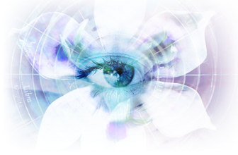 blue iris