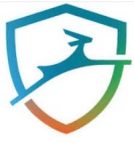 Dashlane Premium Review – Securely Store Your Passwords & Stop Forgetting Them