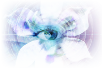 Blue Iris Video Security Software – Monitor Your Home Completely